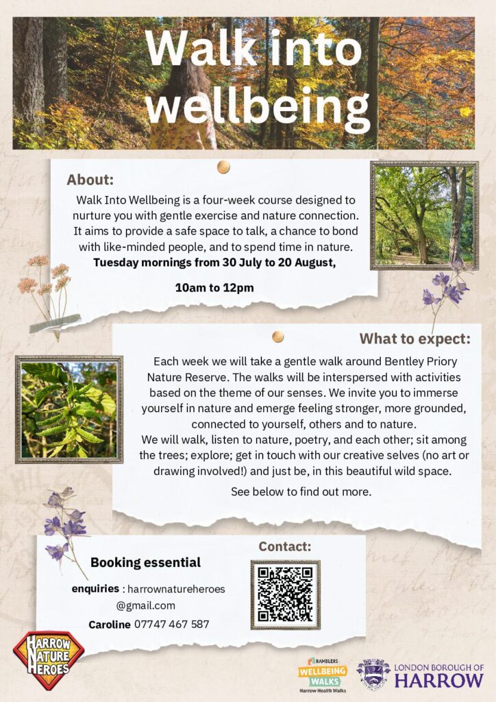 Free Walk into Wellbeing courses